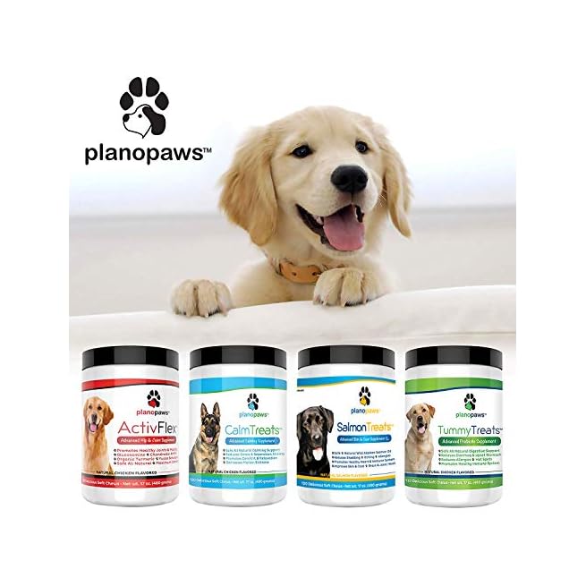 plano paws salmon chews