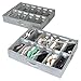 storageLAB Slim Under Bed Storage Containers, Adjustable Dividers for Shoes, Closet Organizers and Storage Bins, Space-Saving Underbed Organizers for Shoes and Accessories - 2 Pack, Gray