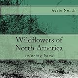 Wildflowers of North America by Aerie North
