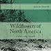 Wildflowers of North America by Aerie North