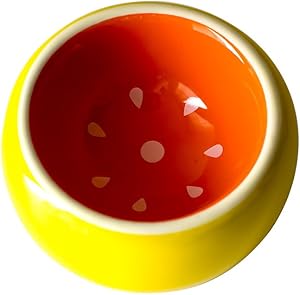 OMEM Hamster Bowl Ceramic Prevent Tipping Moving and Chewing Wonderful Food Dish for Small Rodents Gerbil Hamsters Mice Guinea Pig Cavy Hedgehog and Other Small Animals