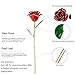 24k Gold Rose Flower,Best Romantic Gift For Christmas's Day, Valentine’S Day, Mother'S Day, Birthday Gift ,Anniversary Gift.24K Gold Dipped Long Stem Rose With Moon-Shape Stand By K_LUCKYI