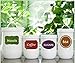 Custom Personalized Assorted Colors Adhesive Name Tag Labels Stickers for Mason Jar or Canning Jars,Gift Box, Editable, Waterproof Nametag Stickers (78 pcs)