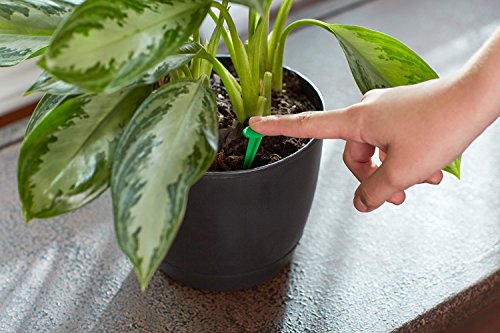 2 Miracle+Gro+Indoor+Plant+Food+48+Spikes