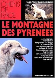 Le  montagne des Pyrénées