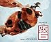 The Art of Big Hero 6