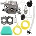 Mckin 545081885 Carburetor with Air Filter Oil Fuel Cap fits Poulan Wild Thing Woodshark Predator 1950 1975 2375 2375LE 2050 2055 2150 2075 2075C 2550 2025 2250 262 260 2550 PP260 Chainsaw Parts