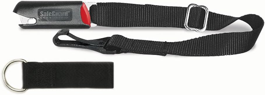 miniature poodle full size