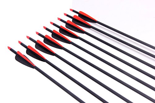 image for PG1ARCHERY Archery Carbon Arrows, 12 Pack 30 inch Practice Hunting Tar