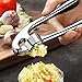 Garlic Press, Stainless Steel Mincer and Crusher With Silicone Roller Peeler - Professional Grade, Dishwasher safe, Rust-proof