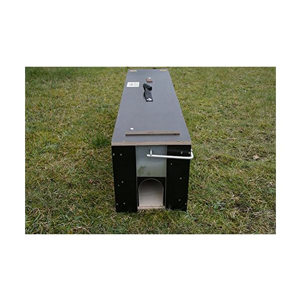 Qualitätsfallen Made in Germany 102x25x27 Marderfalle Maderbunker Lebendfalle #15# – Bild 6