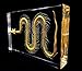 Real Snake Skeleton Specimen in Acrylic Block Paperweights Science Classroom Specimens for Science Education