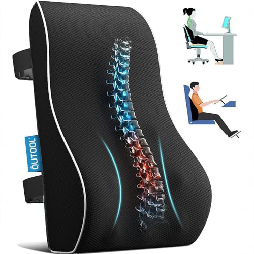 Lumbar Support Pillow for Office Chair, Office Home Essentials,Gifts for Mom,Dad, Back
