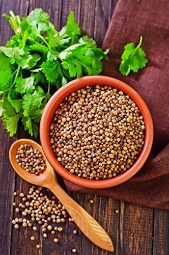 Semillas de cilantro - Coriandrum sativum: Amazon.es: Jardín