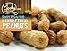 Jerky.com Deep Fried Peanuts in Shell Sampler 3 Pack - Gourmet Flavors Include Salted, Roasted Garlic, Spicy Hot - Peanuts in Shell for Human - USA Grown, Perfect Snack Food (30oz Total)
