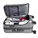 Delsey Luggage Helium Shadow 3.0 29 Inch Exp. Spinner Trolley, Platinum, One Size