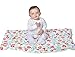 Eric Carle Very Hungry Caterpillar Fruit Printed Blanket, 30'' x 40''