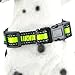 Night Reflective Nylon Dog Collar 3 Colorway (Medium, Black/Lime)