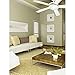 Westinghouse 7801720 Comet Indoor Ceiling Fan with Light, White