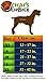 Chai's Choice Best Outdoor Adventure Dog Harness (X-Large, Green)