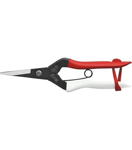 51MBAUH1fWL._AC_UL495_SR435,