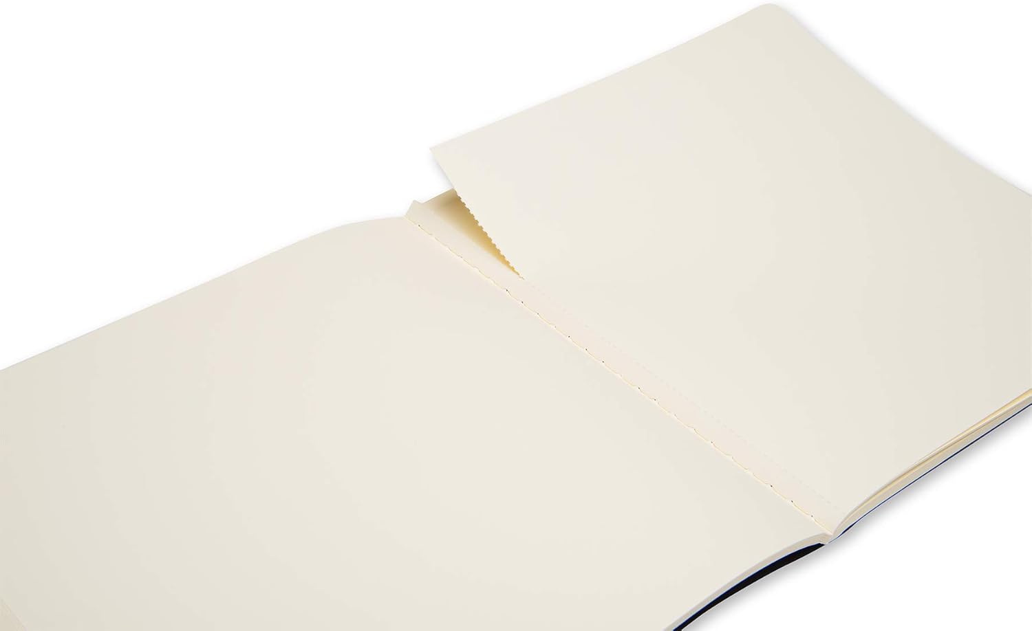Moleskine Art Sketch Album, Hard Cover, Square (7.5" x 7.5") Plain/Blank, Black, 88 Pages: Moleskine: Office Products