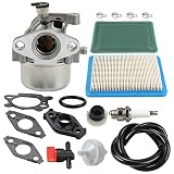 Hipa MIA11798 Carburetor + Air Filter Tune Up Kit for John Deere JS20 JS25 JS26 JS28 JS30 JS36 JS38 JM26 JM36 Mowmentum Walk-Behind Lawn Mower