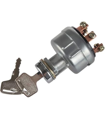 HOLDWELL Ignition Switch W/ 2 Keys 4477373 Compatible with