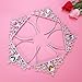 Princess Tiara Crown Set,Girls Dress up Party Accessories,5pcs