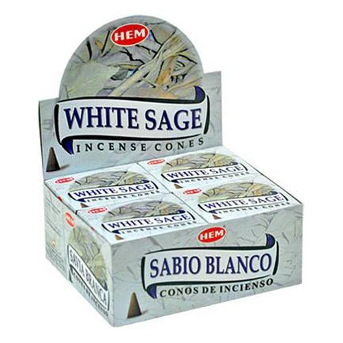 Hem White Sage Cones Incense - 4 Packs, 10 Cones per Pack by Incense