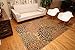 Feraghan/New City Brand New Contemporary Modern Floral Flowers Area Rug, 2' x 3', Brown/Beige
