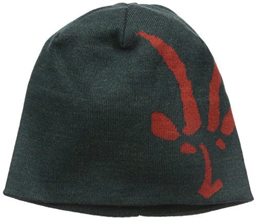 ibex wool beanie