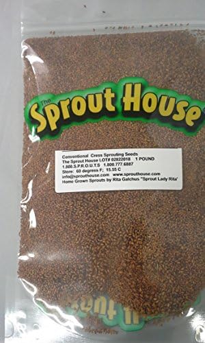 The Sprout House Cress Sprouting Seeds Conventionally Grown 1 Pound (garden cress, curly cress) (Lepitum sativum) HALIM Seeds