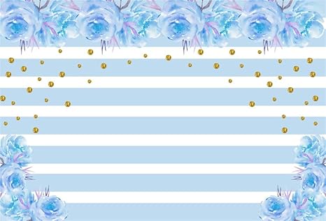 Amazon Com Aofoto 6x4ft Light Blue Flowers Banner Striped