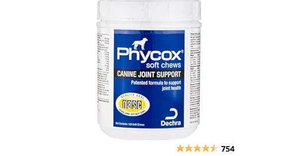 furbo dog camera setup