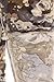 Leggings Depot Ultra Soft Women's Popular Best Printed Fashion Leggings Batch11 (Plus (Size 12-24), Beige Floral)