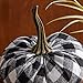 Your Heart's Content Black Buffalo Plaid 6.25 inch Velvet Pumpkin, Modern Rustic Mantle Decor, Entryway Decor, Farmhouse Cozy Home Decor, Table Centerpiece (Buffalo Plaid)