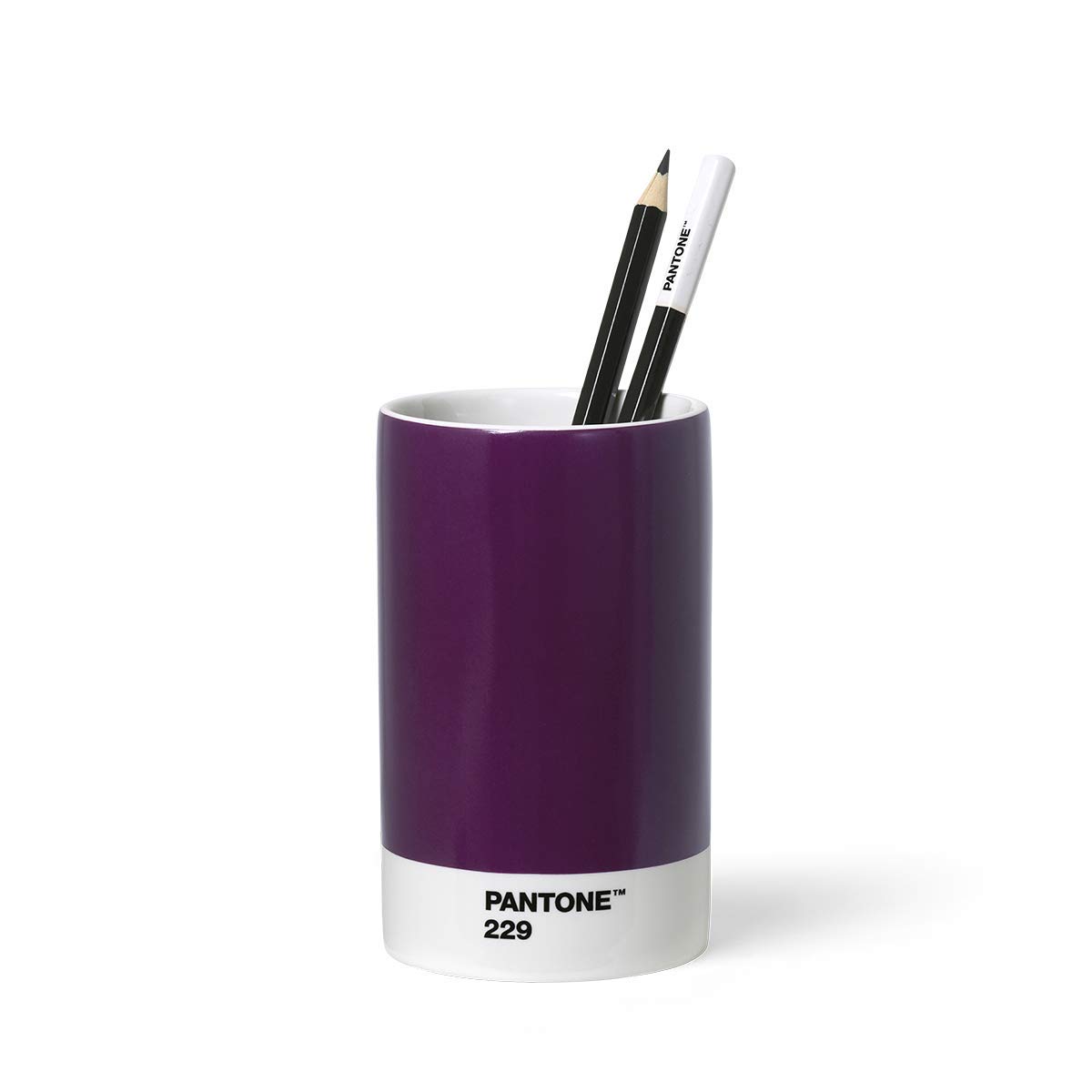 Pantone Pencil Cup, Aubergine 229