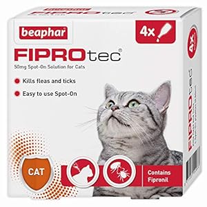 Beaphar | FIPROtec Spot-On for Cats | Kills Fleas & Ticks | Vet Strength Treatment | 4 Pipettes