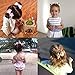 Baby Girls Toddler Hair Bows with Alligator Clip Grosgrain Barrettes Bundles Accessories for Infant (3 inch, 40Pcs/20Pair)