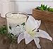 DII Home Traditions 3-Wick Evenly Burning Highly Scented 4x4 Large Jar Candle with 45+ Hour Burn Time (14.5 Oz) - Jasmine Flower Scent