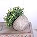 HC STAR Artificial Plant Potted Mini Fake Plant Decorative Lifelike Flower Green Plants Indoor and Outdoor Small Green Plants Fake Grass Plant for House Desk Shelf Greenery Room Decorations
