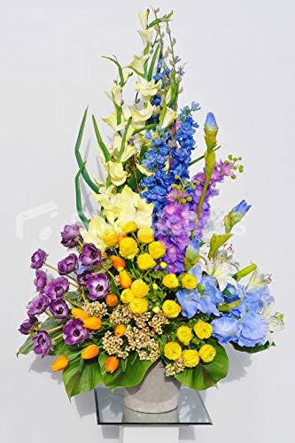 Amazon Co Jp Silk Blooms Ltd 人工マルチカラーチューリップ アネモンとサマーフラワー花瓶ディスプレイ 葉付き ホーム キッチン Amazon Co Jp Silk Blooms Ltd 人工マルチカラーチューリップ アネモンとサマーフラワー花瓶ディスプレイ 葉付き ホーム キッチン