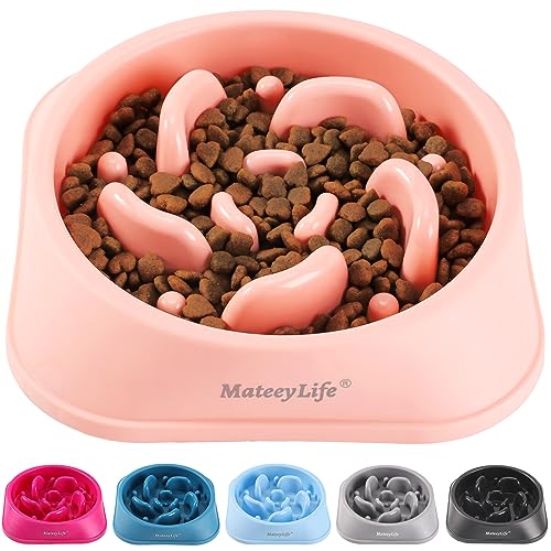 MateeyLife Slow Feeder Dog Bowls, Anti-Choking Puzzle Dog Food