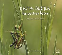 Kama-Sutra des petites bêtes