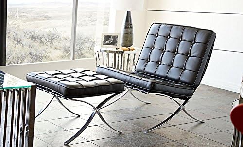 Coari Black Tufted Chair & Ottoman 2PC Set with Stainless Steel Frame