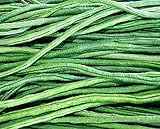Asparagus Bean Seeds-Bacello- Yard long beans