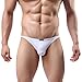 Sunward Men Ultra-Thin Breathable Briefs Sexy Underwear (L, White)