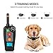 HOLDOG Rechargeable Dog Training Collar with 3 Training Modes, Beep, Vibration and Shock, 100% Waterproof Dog Shock Collar for 1200FT Remote Range