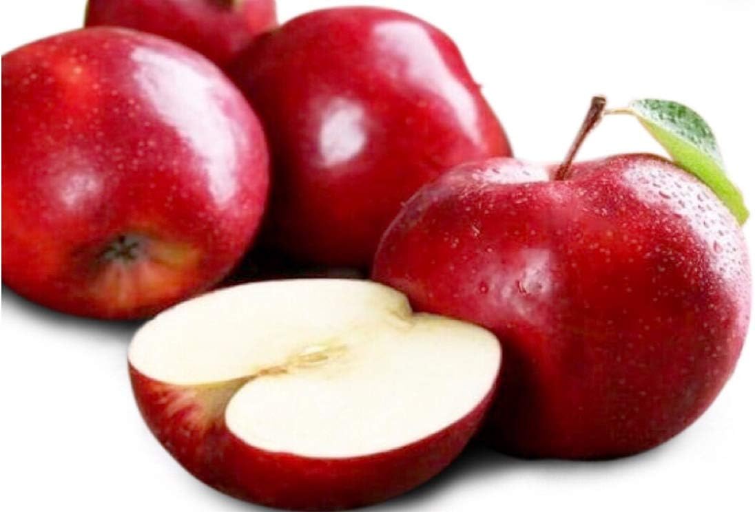 Dwarf Red Delicious Apple Seeds Apple Tree UPC